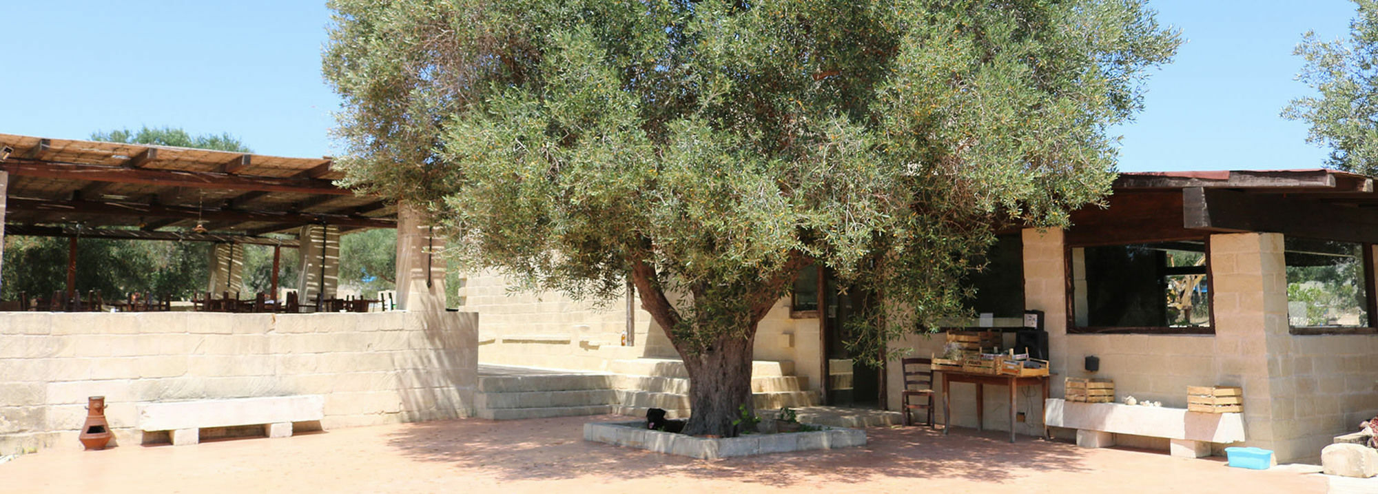 La Trottoria Agriturismo أوترانتو المظهر الخارجي الصورة